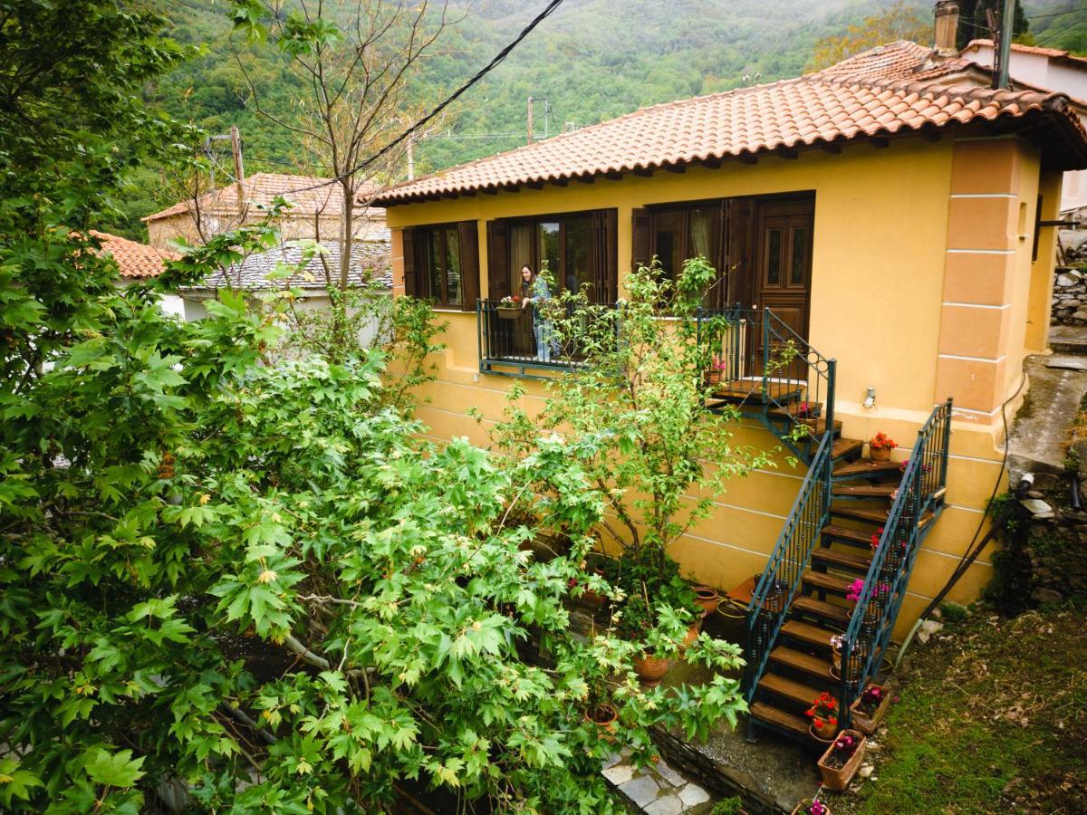 Apartment Stamoulis' House